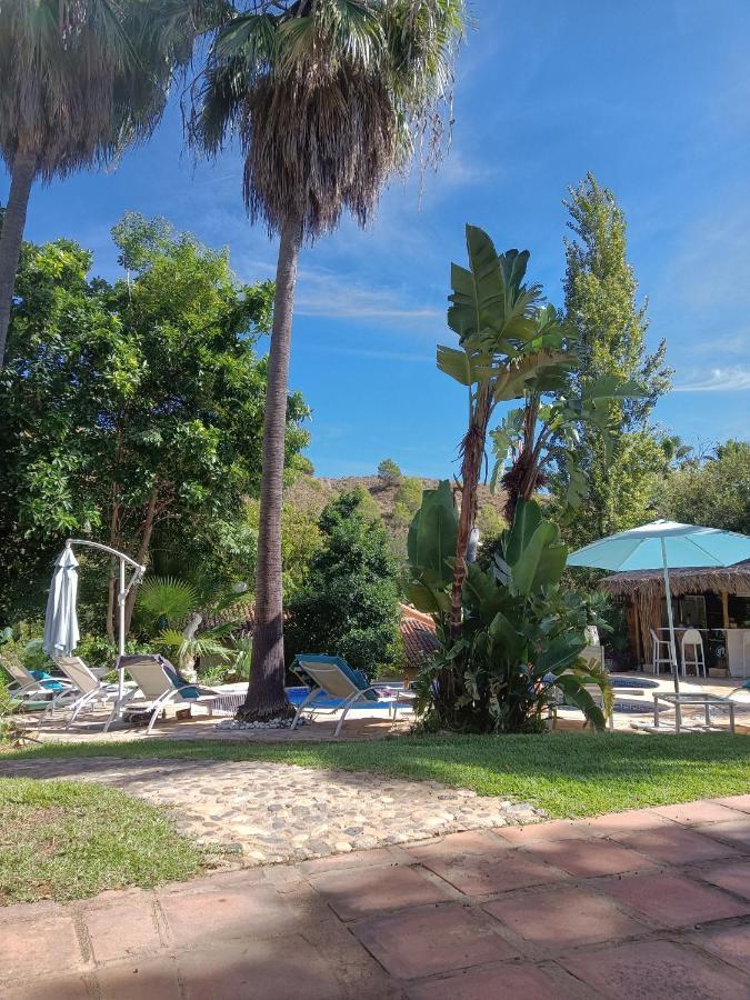 La Fuente Oase B&B Coín Exteriör bild